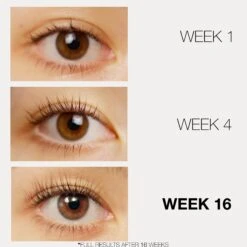 Lashfood Phyto-Medic Eyelash Enhancer 3ml -Smashbox Store phytomedic eyelash enhancer lashfood 811992017897 before and after